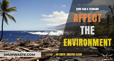 Tsunami's Environmental Impact: Devastation, Ecosystem Disruption, and Long-term Effects