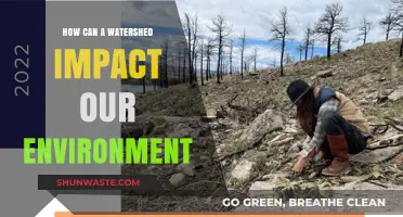 Watersheds' Vital Role in Shaping Our Environment and Ecosystems