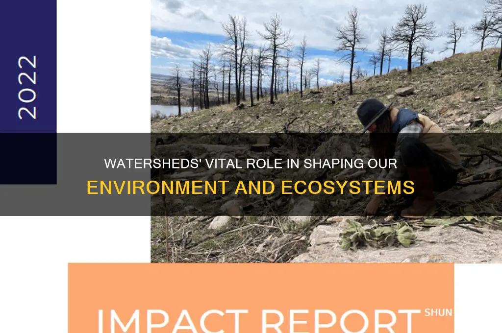 how can a watershed impact our environment