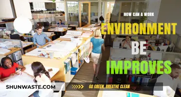 Enhancing Productivity: Strategies to Transform Your Work Environment Effectively