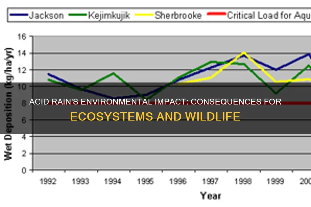 how can acid rain affect the environment