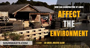 Acidification of Lakes: Environmental Impacts and Ecosystem Consequences Explained