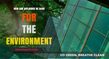 Affluence and Eco-Progress: How Wealth Can Foster Environmental Sustainability