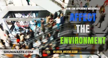 Wealth's Dark Side: How Affluence Harms Our Environment