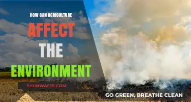 Agriculture's Environmental Impact: Challenges and Sustainable Solutions Explored