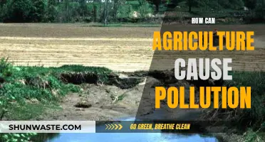 Agricultural Pollution: Causes and Impacts Explained