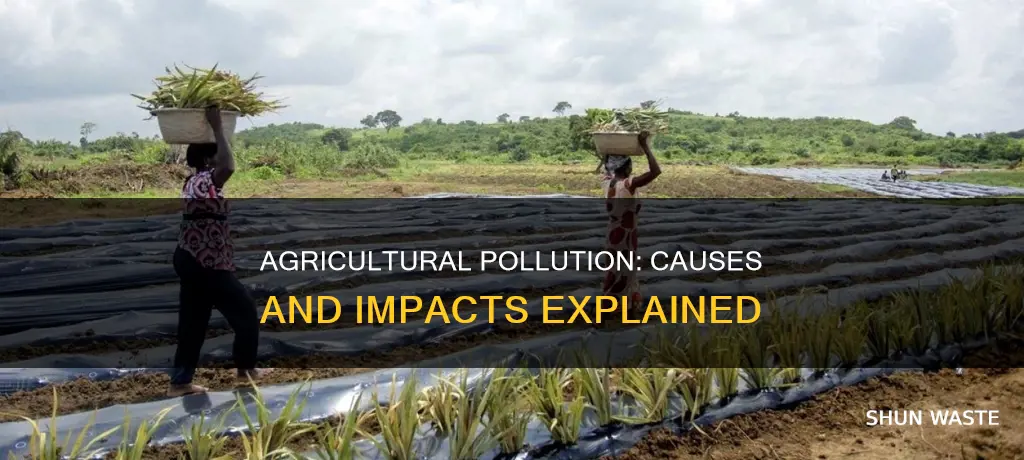 how can agriculture cause pollution