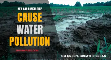 Agricultural Water Pollution: Causes and Impacts