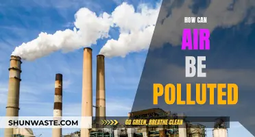 Air Pollution: Understanding the Causes of Contaminated Air