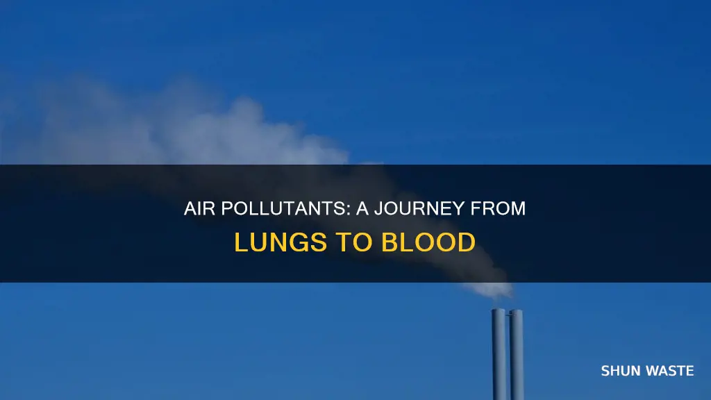 how can air pollutants get into your blood