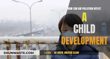 Air Pollution's Impact on Children's Health and Development