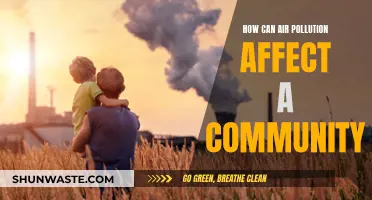 Air Pollution's Community Impact: Health, Environment, and Economy