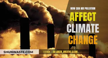 Air Pollution's Impact on Climate Change: What's the Link?