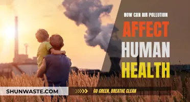 Air Pollution's Impact: Human Health at Risk