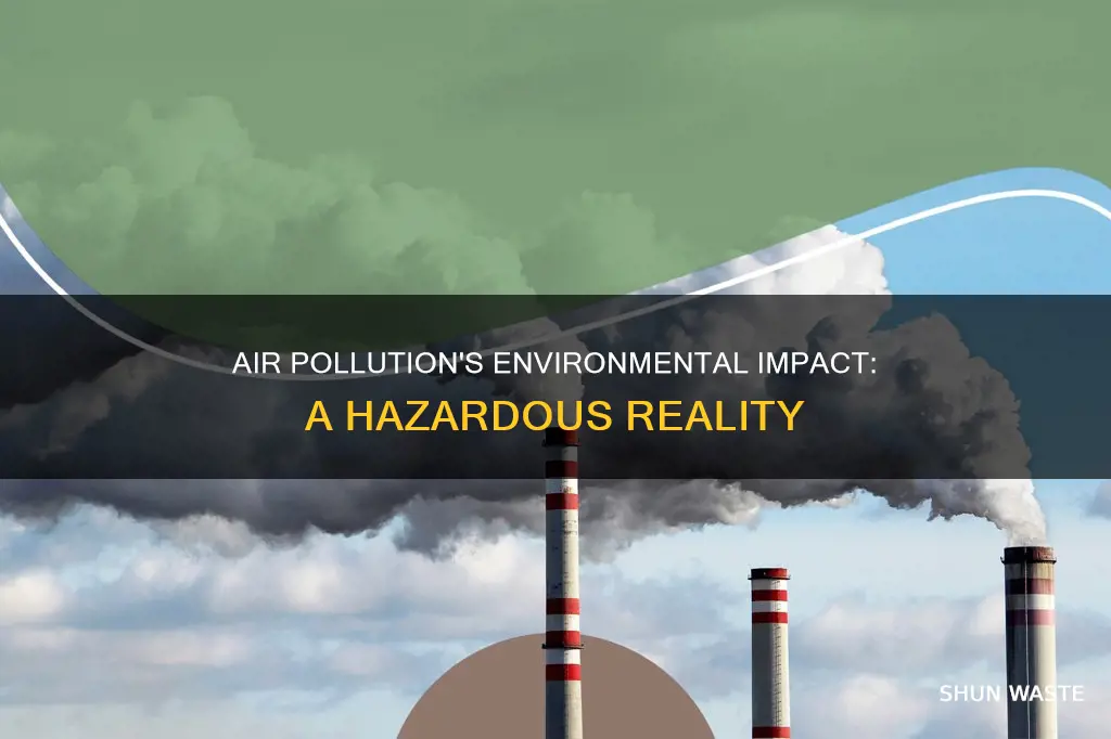 how can air pollution affect our environment