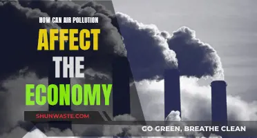 Air Pollution's Economic Impact: A Costly Affair