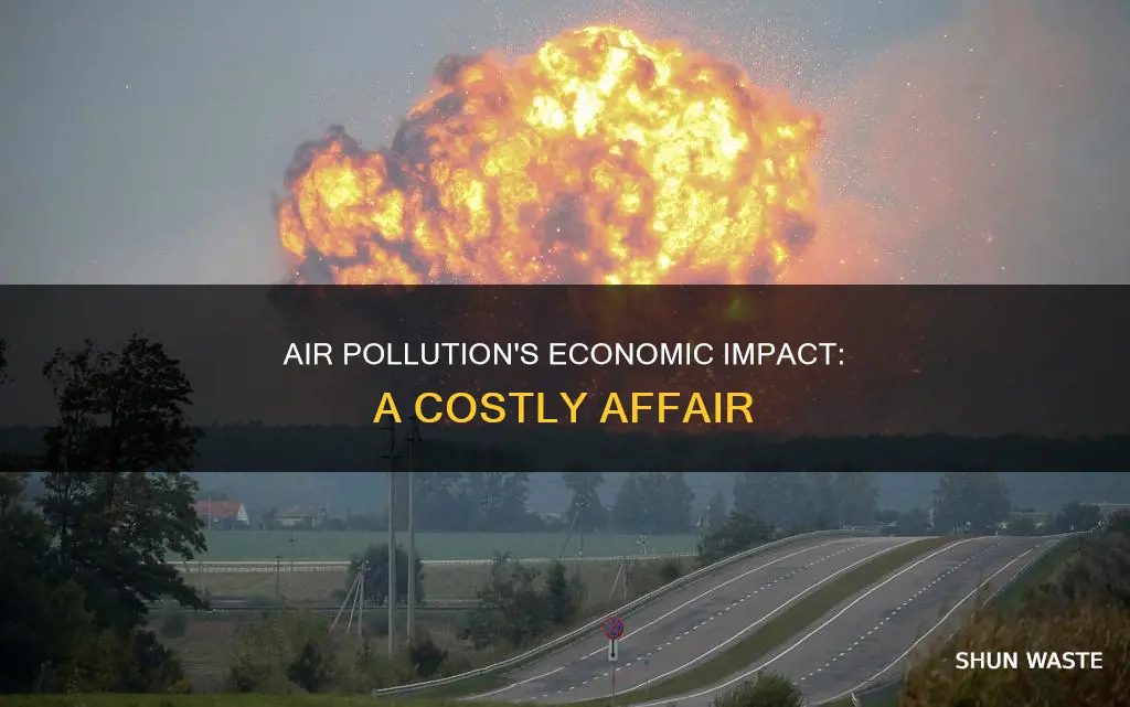 how can air pollution affect the economy