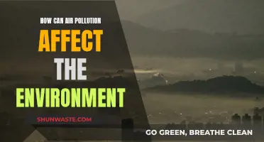 Air Pollution's Environmental Impact: A Toxic Threat