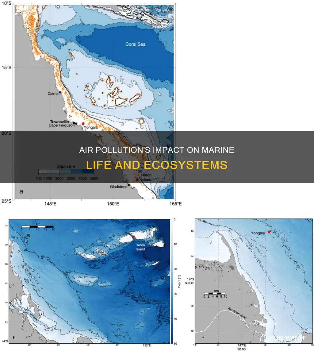 how can air pollution affect the marine ecosystem