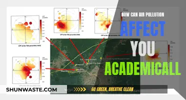 Air Pollution's Impact on Academic Performance and Focus