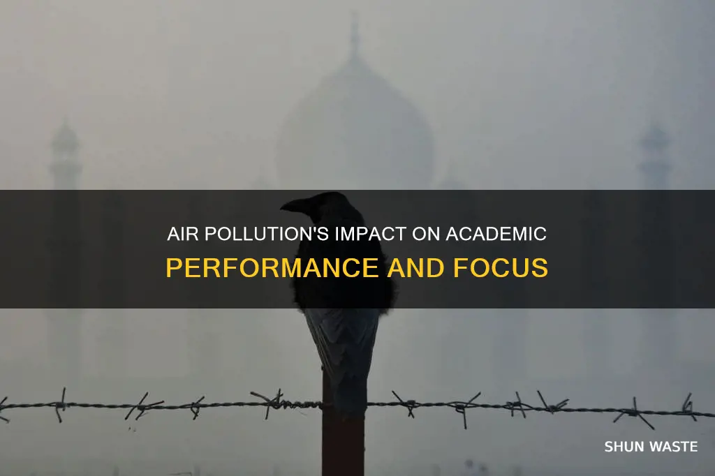 how can air pollution affect you academically