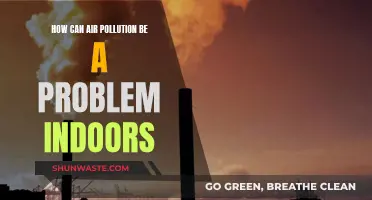 Air Pollution's Indoor Threat: What's the Risk?