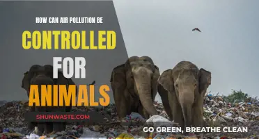 Controlling Air Pollution: Saving Animal Lives