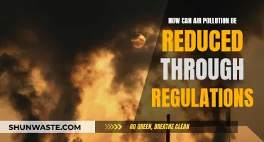 Air Pollution: Regulations for Cleaner Skies