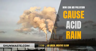 Air Pollution's Impact: Acid Rain Formation Explained