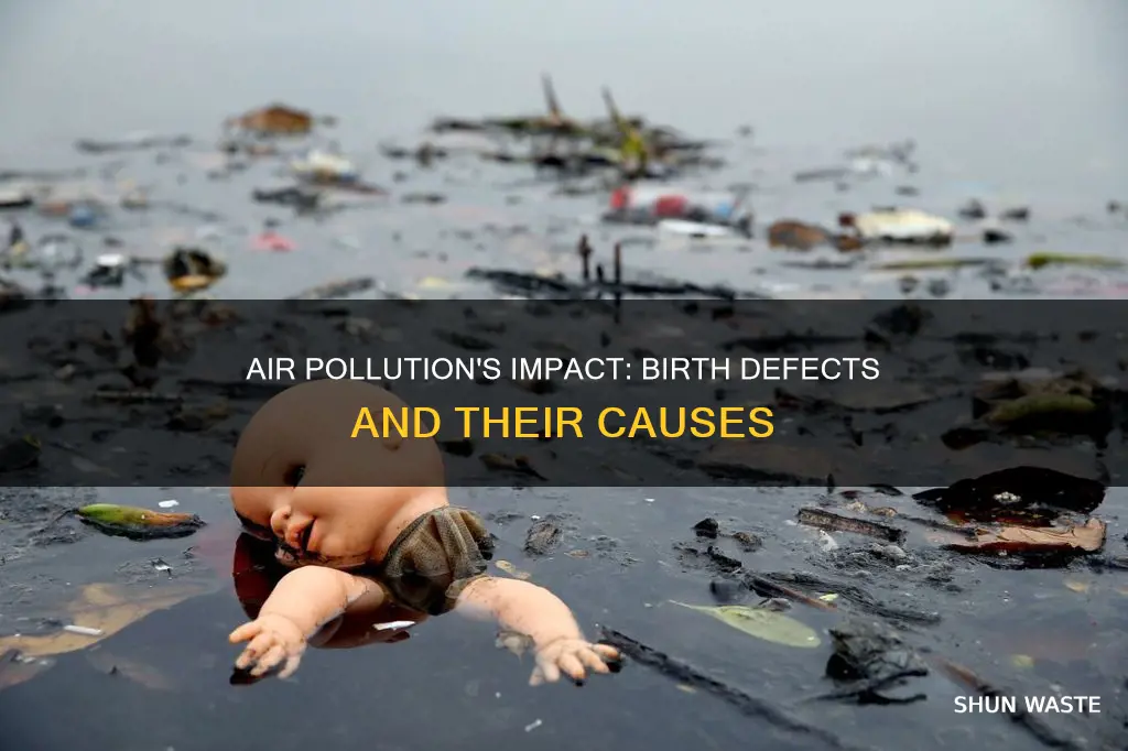 how can air pollution cause birth defects