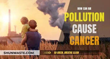 Air Pollution: Cancer's Unseen Cause