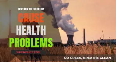 Air Pollution: A Slow Poison for Our Health