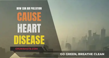 Air Pollution's Link to Heart Disease Explained