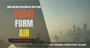 Air Pollution: A Silent Journey to Your Heart