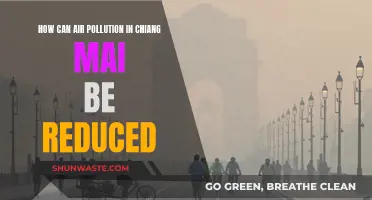 Reducing Air Pollution in Chiang Mai: Strategies for Improvement