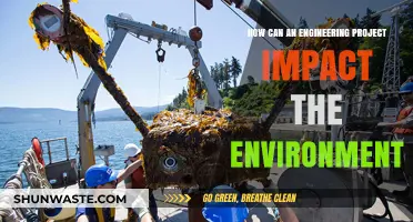 Engineering Projects and Their Environmental Impact: A Comprehensive Analysis