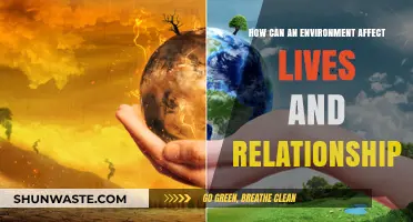 Environment's Impact: Shaping Lives and Transforming Relationships Over Time