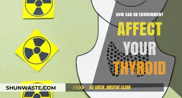 Environmental Factors and Thyroid Health: Uncovering Hidden Connections