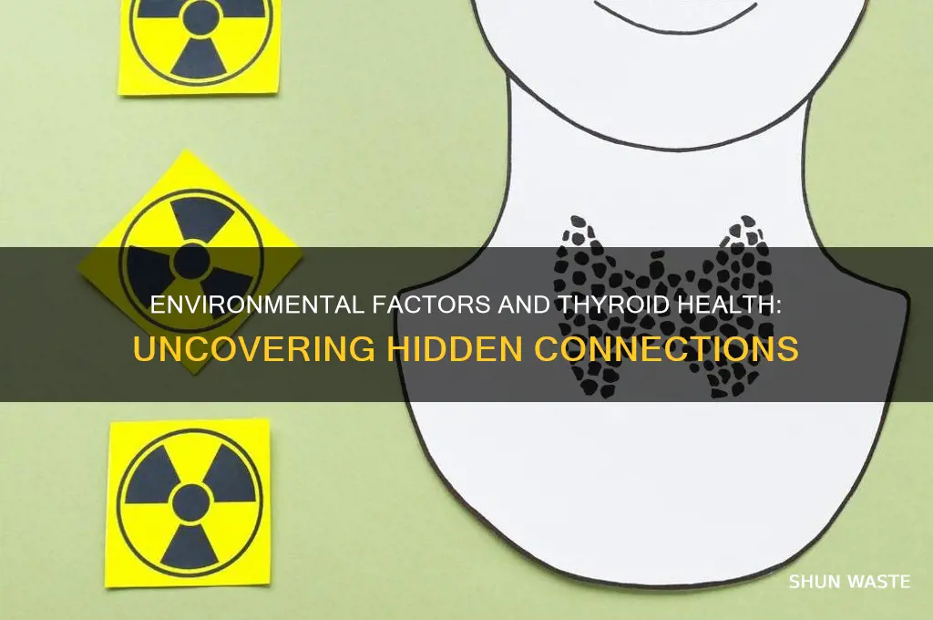 how can an environment affect your thyroid