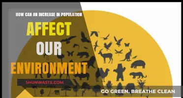 Population Growth's Impact: Environmental Challenges and Sustainable Solutions