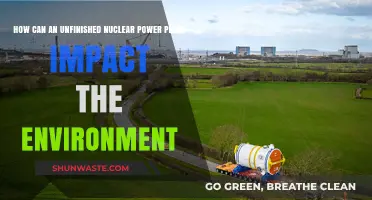 Unfinished Nuclear Power Plants: Environmental Risks and Long-Term Consequences