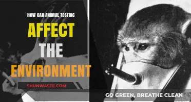 Animal Testing's Environmental Impact: Unseen Consequences and Ecological Concerns