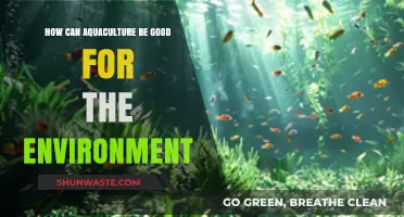 Sustainable Aquaculture: Environmental Benefits and Eco-Friendly Practices Explained