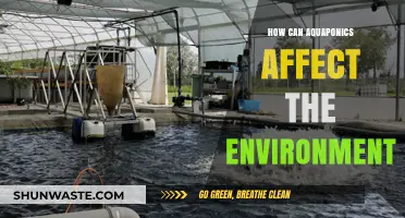 Aquaponics' Environmental Impact: Sustainable Farming for a Greener Future