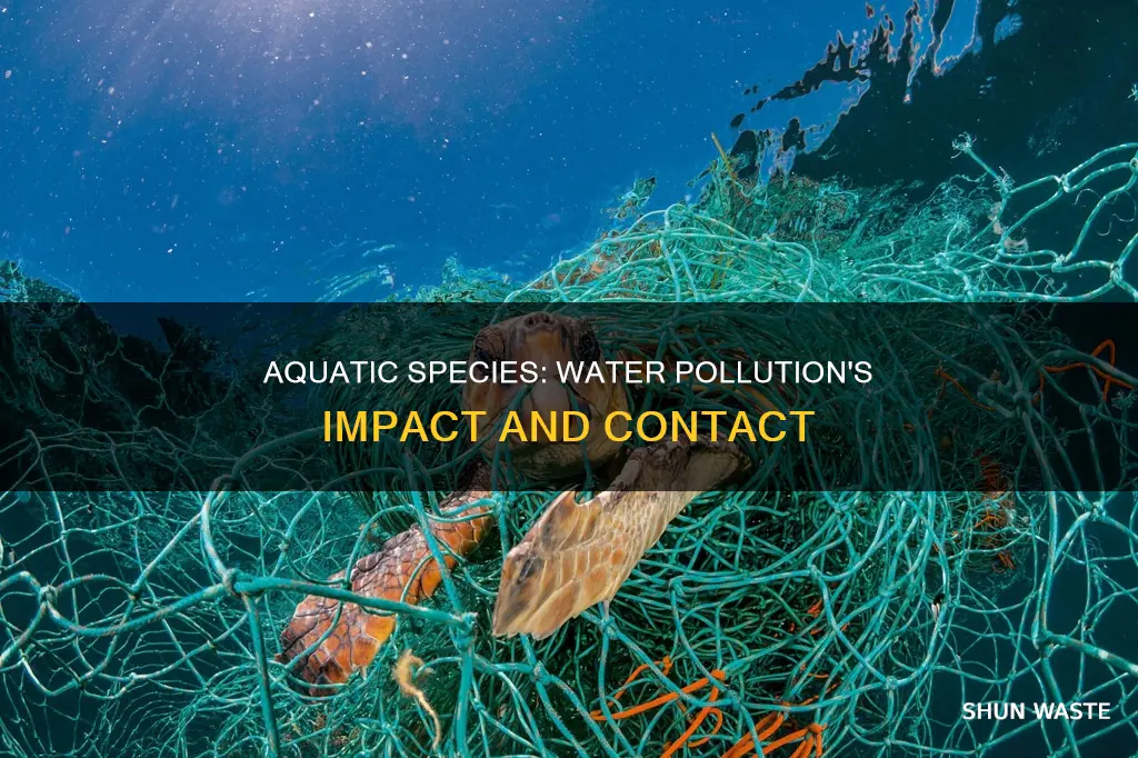 how can aquatic species contact water pollution