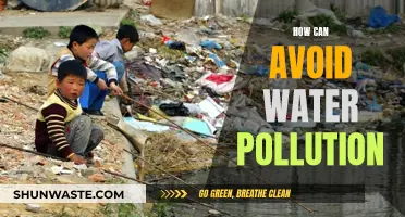 Water Pollution: Preventing a Global Crisis