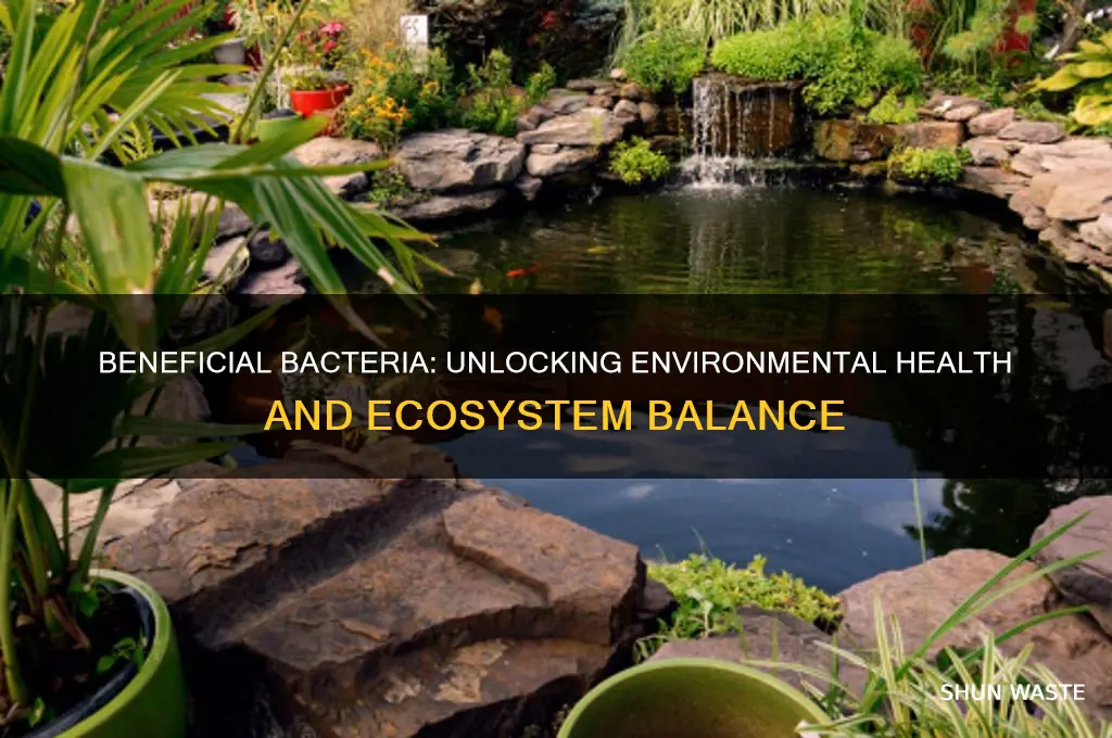 how can bacteria be good for the environment