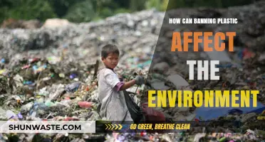Banning Plastic: Environmental Benefits, Challenges, and Sustainable Alternatives Explored