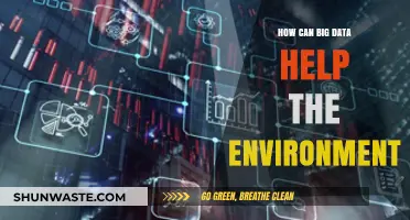 Harnessing Big Data for Sustainable Environmental Solutions and Conservation