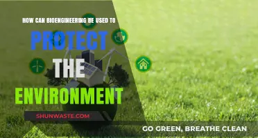 Bioengineering Solutions: Innovative Ways to Safeguard Our Environment